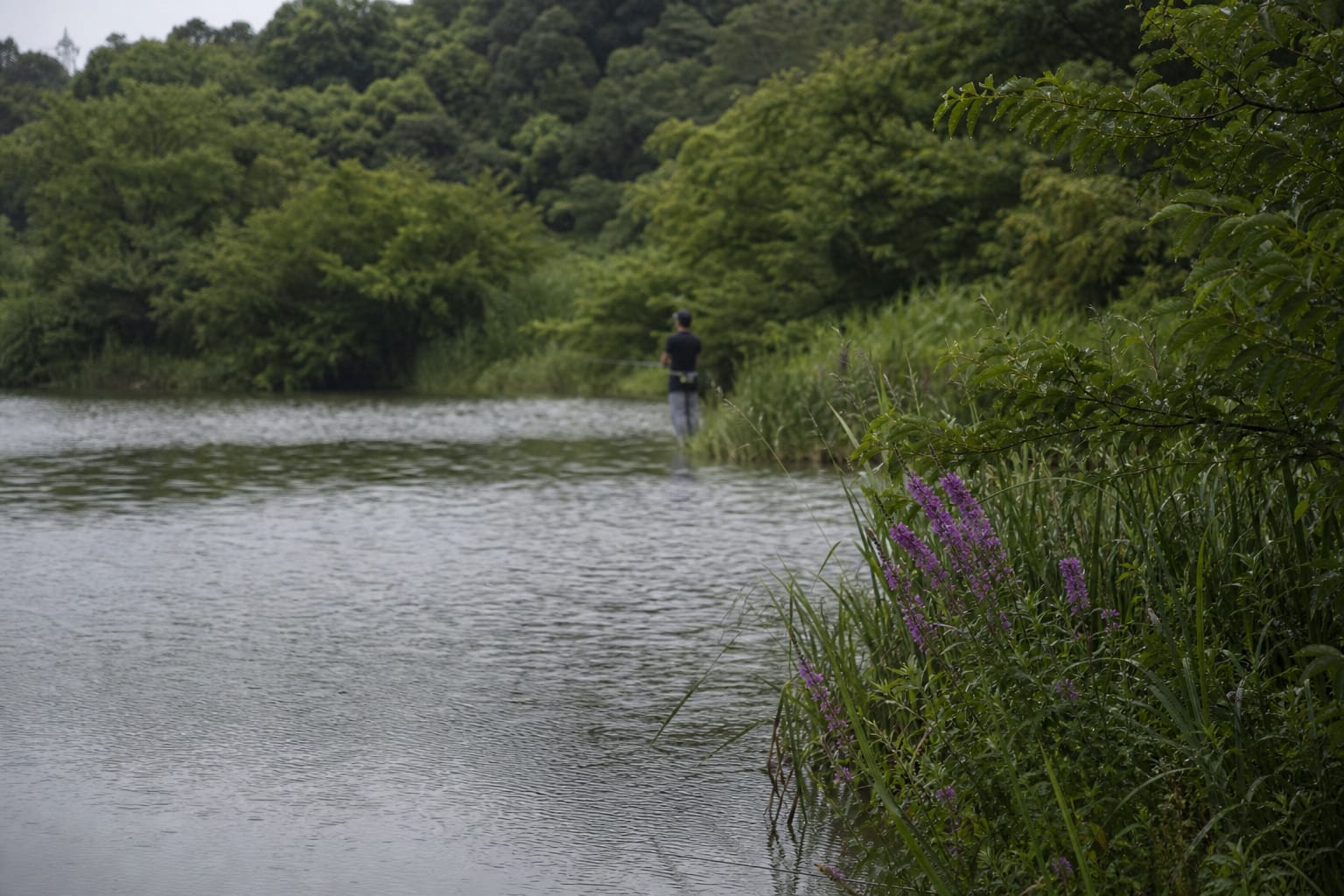 梅雨明け72時間の正解行動プラン